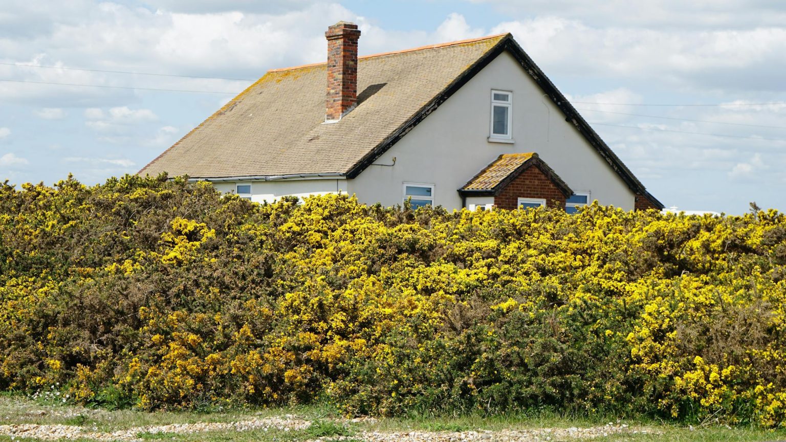 5 Reasons to Get Chimney Sweep Services for Your House